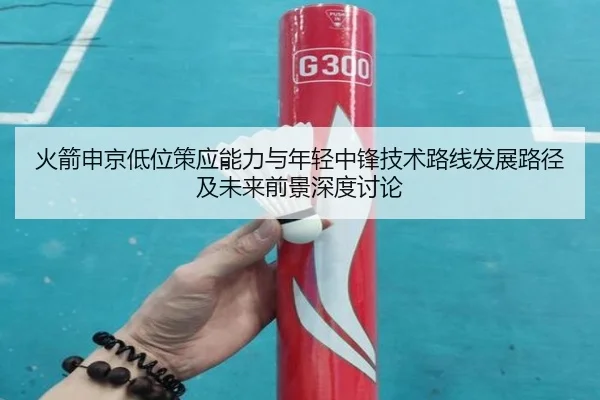 火箭申京低位策应能力与年轻中锋技术路线发展路径及未来前景深度讨论 - kaiyun