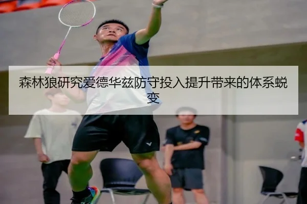 森林狼研究爱德华兹防守投入提升带来的体系蜕变 | kaiyun