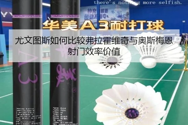 尤文图斯如何比较弗拉霍维奇与奥斯梅恩射门效率价值 - kaiyun